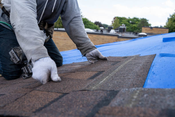 Best Storm Damage Roof Repair  in Eggertsville, NY